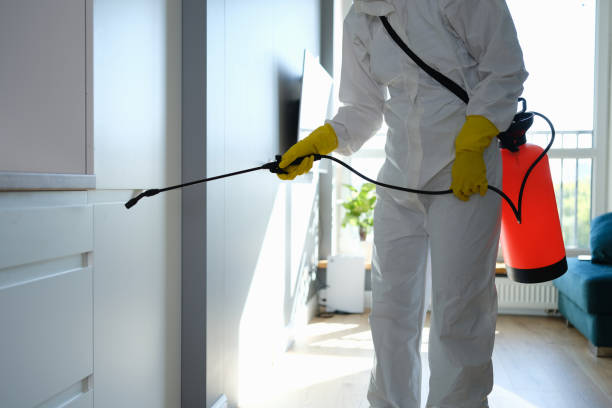 Certified Mold Removal in Fairborn, OH